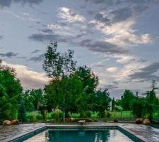 landscaping around new pool installation
